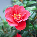 photo_1
