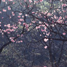 photo_4