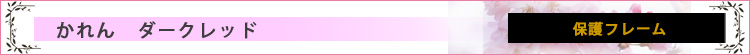 㕧d@@_[Nbh@یt[@S